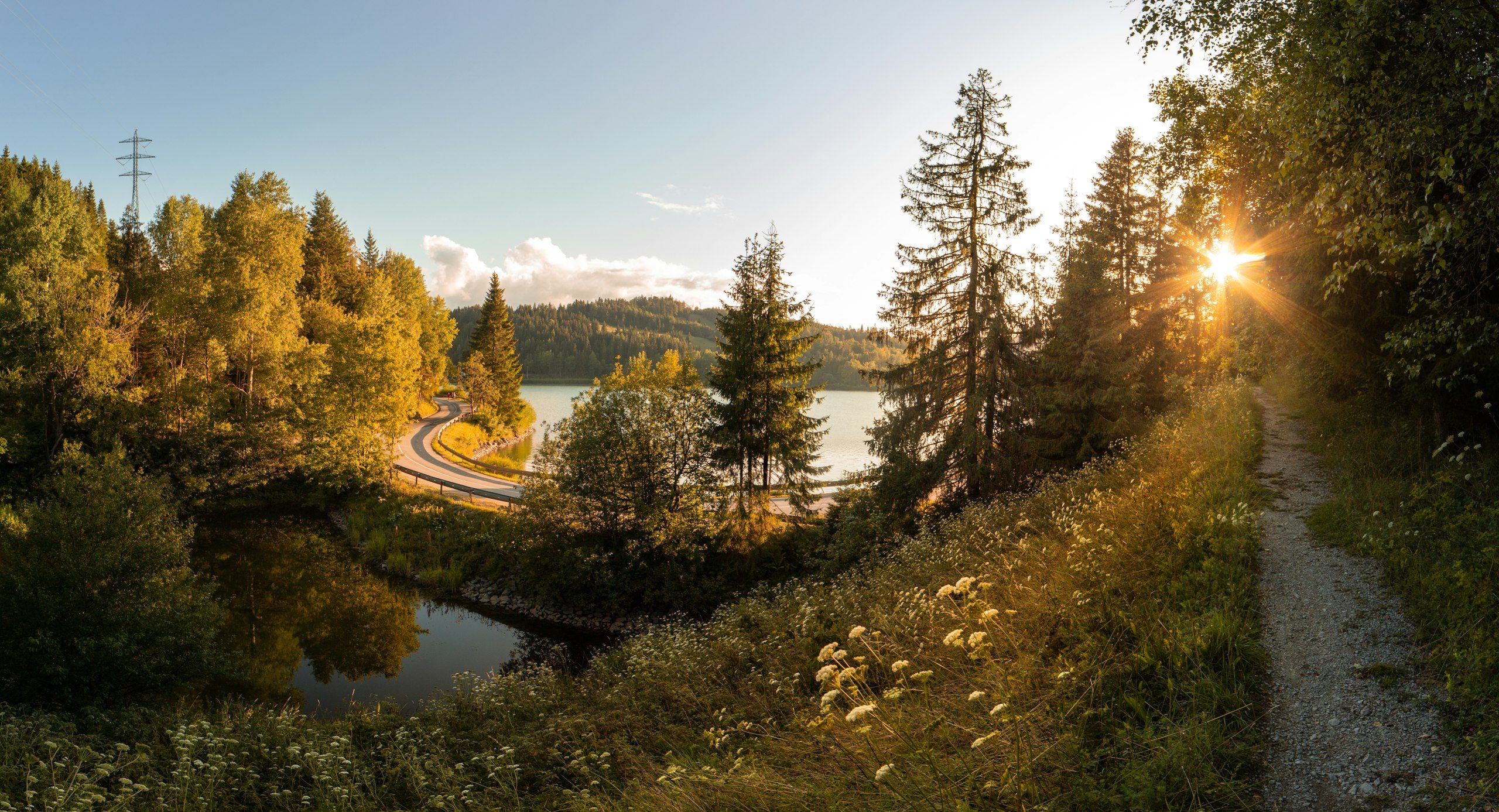 Stiller See umgeben von Bäumen